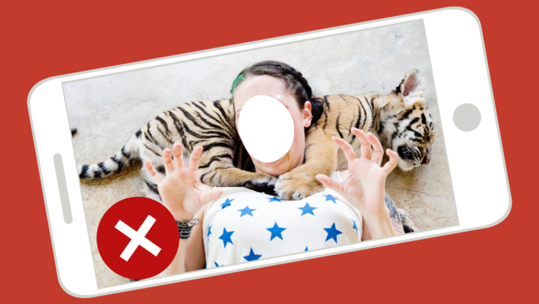 exploiting a tiger cub for a wildlife selfie